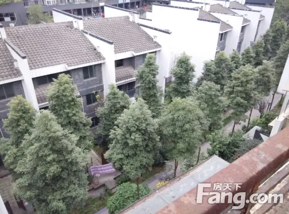 天府江南实景图