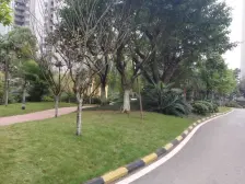 看江优质户型,视野采光好,小区环境优雅,住家舒适