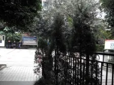 汽博中心 龙脊金山名都五房320万