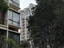 联泰香域滨江 南北通透,采光好 近地铁 中间楼层