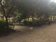 红光新村三楼大一房,简单装修,楼下就是公交车站