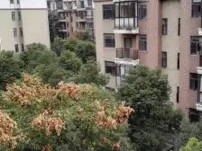 地铁1号、2号线旁 电梯房 南北通透 有20多平露台