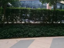 融侨外滩壹号 高层 全面景色 4房+保姆房+书房