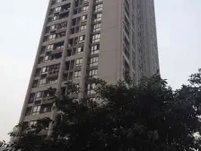 金科visar国际 1室1厅 南