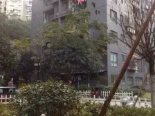 近张巴,品质小区 有小区环境 住家安静 陪DU使用