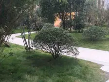 西城湖景 3室1厅 南