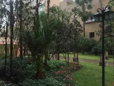 兰花丽景 精装单配 中间楼层 彩光好 朝中庭 急售