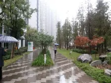 轻轨正规单配精装,价格优质,业主诚心,房子采光好。