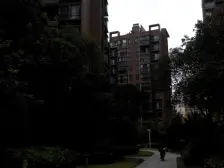 品质楼盘 红谷滩CBD 物业优质