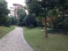 业主急售 楼下永辉 出门公交 配套成熟