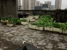 华岩新城 斌鑫西城绿锦二房60万