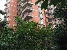 轻轨旁 园林小区 跃层带屋顶花园