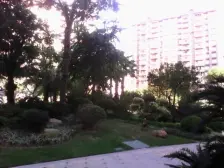 此房是高楼层南向,无欠款交易快,精装修