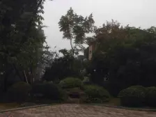 西区 聚义香城故事二房89.5万