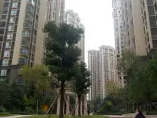 精装小两房 装修不错 中间楼层坐北朝南