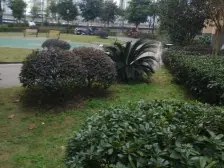 精装一房,楼下购物方便,轻轨,采光好,视野开阔