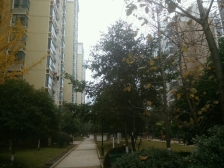 万达星城瑞星苑 南北通透,采光好 装修好,环镜优美 近地铁 周边匹套完善,,出行方便