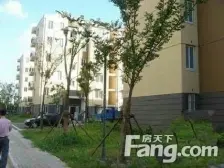 无抵押,电梯房,刚需上车 新上房源