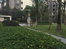 和泓四季跃层,视野开阔,诚心出售,拎包入住