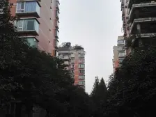 平安轻轨站 园林式小区 朵力名都精致两房 带屋顶花园