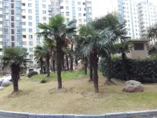 二期中心位置,前后无遮挡,接受置换,业主诚售!