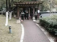 龙泉湾 南北通透,采光好 装修好,环镜优美 视野好,诚心出售