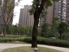 108弯!南大附小 十九钟 红角洲地铁口拎包入住大两房楼层好