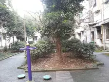 鱼洞 化龙中街二房30万