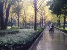 巴国城 金科西城大院四房115万