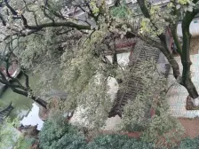 户型、位置佳、视野开阔、空气清新 、特别适合居家过日子