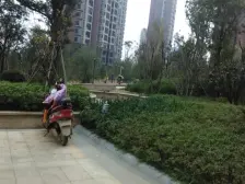 地铁三号线口 小区环境优美 户型方正 交通便利