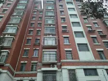 金桥新城 5室3厅 南