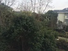 纯联排别墅、带露台4房、全明户型诚意出售