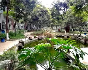 美丽星 3室2厅 南 北