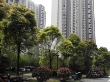 南北通,景观中区楼层,小区内安静位置,滨江植物园