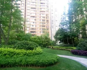 九龙仓御园四期 2室1厅 西南