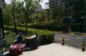 紫郡观澜实景图