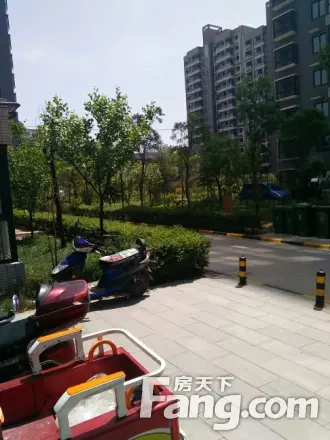 紫郡观澜实景图